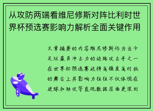 从攻防两端看维尼修斯对阵比利时世界杯预选赛影响力解析全面关键作用